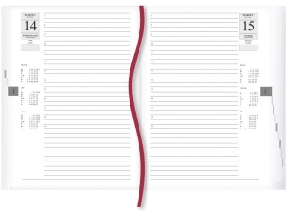 Asystent 2026 - granat T-237C-G