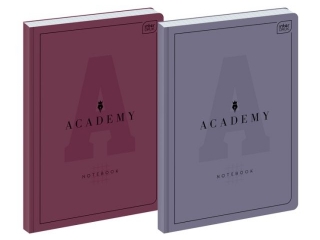 Brulion A4 96k. INTETRDRUK 90g Academy, kratka