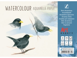 Blok akwarelowy KRESKA Art Expert A5 10ark. 300g