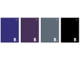 Brulion A4 96k. INTERDRUK Kolekcja one color, kratka