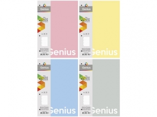 Ko�ozeszyt PP A4 80k. ASTRA Genius, kratka