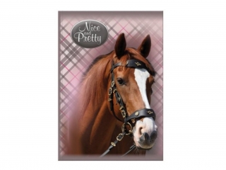 Brulion mi�kka oprawa A5 96k. BENIAMIN Nice and Pretty kratk