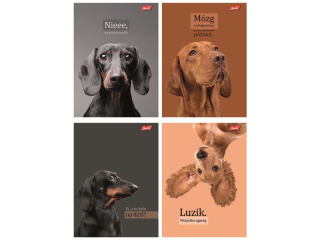 Zeszyt A4 60 kartek krata ok�adka laminowana lakier miejscowy UV 70 g/m2 DOGGY MOODS [opakowanie=10szt]