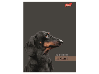 Zeszyt A4 60 kartek krata ok�adka laminowana lakier miejscowy UV 70 g/m2 DOGGY MOODS [opakowanie=10szt]