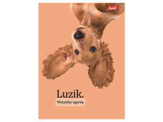 Zeszyt A4 60 kartek krata ok�adka laminowana lakier miejscowy UV 70 g/m2 DOGGY MOODS [opakowanie=10szt]