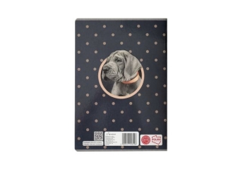 Zeszyt A5 60k. BENIAMIN The Sweet Pets, linia