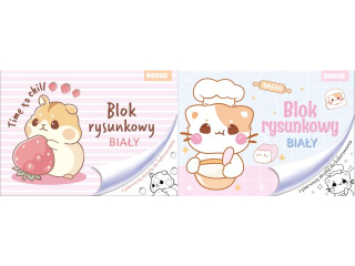 BLOK RYSUNKOWY BIA�Y A4/20k. z pierwsz� stron� do kolorowania / NO NAME - DZIEWCZYNKA [opakowanie=10szt]