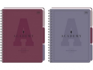 Ko�ozeszyt A4 100k. INTERDRUK Academy 90g przek�adki PP, kratka