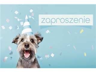 Zaproszenie Z 160x95 z kopert� POL-MAK 10szt. dzieci�ce Z_DZIE_62141