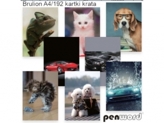 BRULION A4/192 # [opakowanie=24szt] (SZPSH)