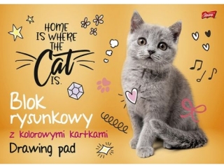 Blok rysunkowy z kolorowymi kartkami A3 16 kartek ok�adka kredowana 80 g/m2 [opakowanie=10szt]