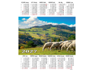 Kalendarz Jednoplanszowy BESKIDY P 2 Pieniny 2027