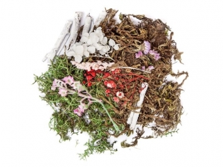 Naturalne elementy DPCRAFT Mix 30g pastel